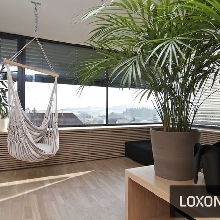 Loxone Beleuchtung